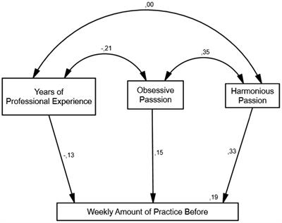 Effects of Passion, Experience, and Cultural Politics on Classical Musicians’ Practice During the COVID-19 Pandemic